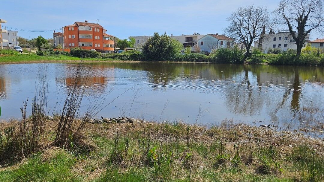 GLOBE istraživanja na Medulinskoj Lokvi