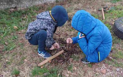 Kreativnost bez granica