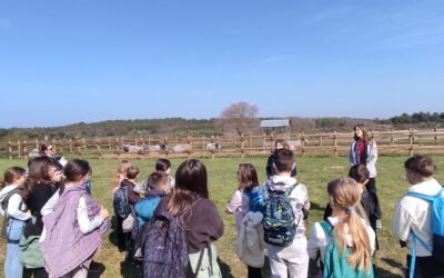 Terenska nastava – Rt Kamenjak