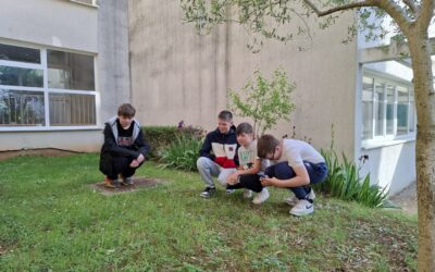 Šestaši sudjelovali u međunarodnom projektu City Nature Challenge