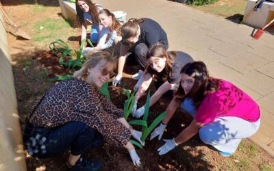 Mali vrt za veliki planet – sadnja žutih perunika