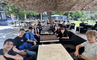 Festival matematike