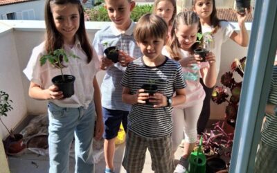 Projekt  „Uzgoj presadnica“ u PŠ Ližnjan